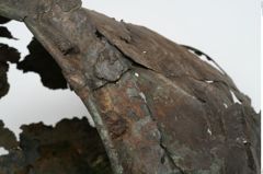 Foto von Bronzesitula (NHMW-PRAE-001391)